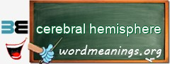 WordMeaning blackboard for cerebral hemisphere